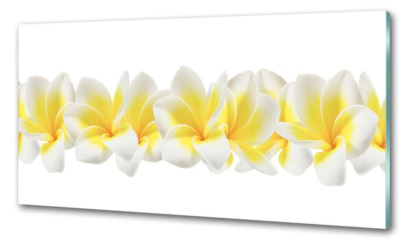 Konyhai falburkoló panel Plumeria