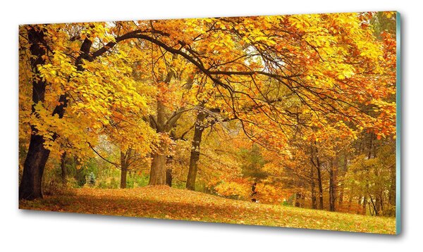 Konyhapanel Ősz a parkban