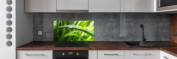 Konyhai falburkoló panel Csepp a fű
