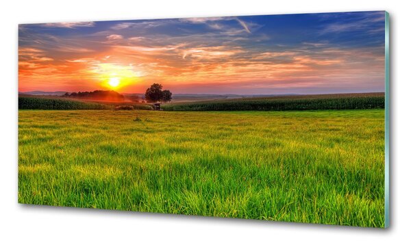 Konyhapanel Sunset meadow