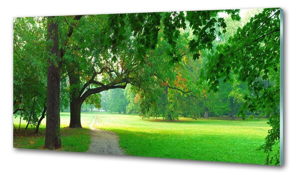 Konyhai falburkoló panel Park ősszel