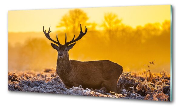 Konyhai fali panel Deer napkelte