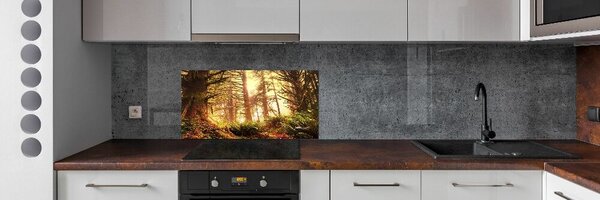 Konyhapanel Az esőerdő