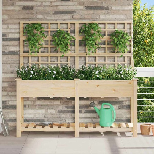 Kerti virágláda trellis-szel és polccal 161x43x152 cm Tömör fenyő