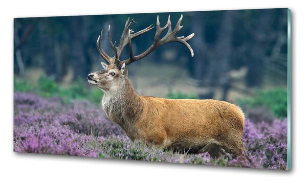 Konyhai fali panel Deer levendula