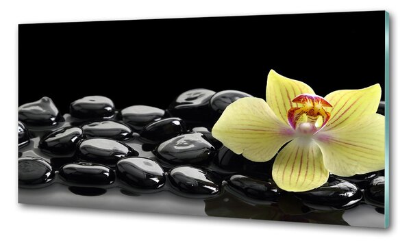Konyhai falburkoló panel Orchidea