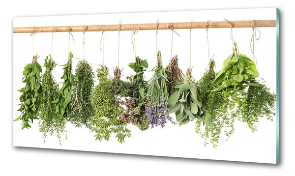 Konyhai dekorpanel Herbs egy húr