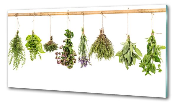 Konyhai dekorpanel Herbs egy húr