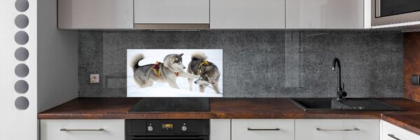 Konyhai fali panel Husky tél