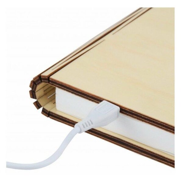 Barna USB fénydekoráció Booklight – Gingko