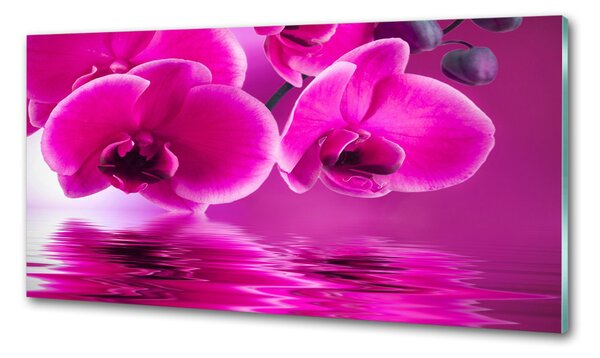 Konyhai falburkoló panel Orchidea