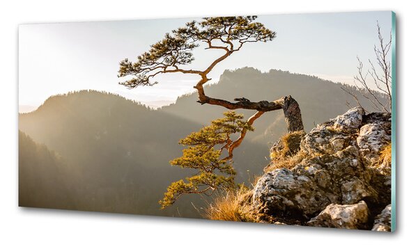 Konyhapanel Pieniny sokolica
