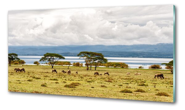 Konyhapanel Lake naivasha