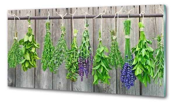 Konyhai dekorpanel Herbs egy húr