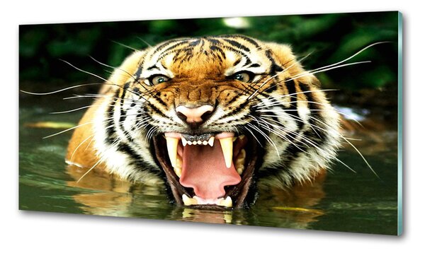 Konyhai fali panel Ordító tigris