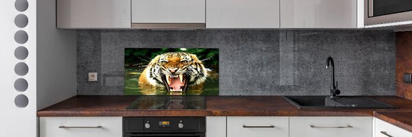 Konyhai fali panel Ordító tigris