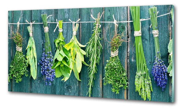 Konyhai dekorpanel Herbs egy húr