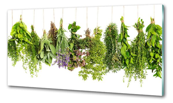 Konyhai dekorpanel Herbs egy húr