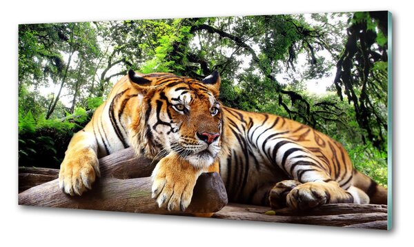 Konyhai fali panel Tiger a rock