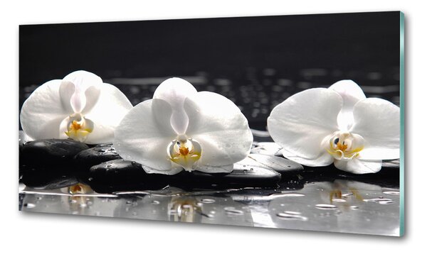 Konyhai falburkoló panel Orchidea