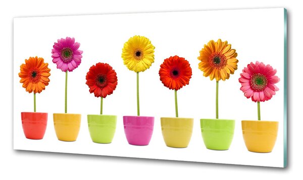 Konyhai falburkoló panel Színes gerbera