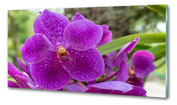 Konyhai falburkoló panel Orchidea