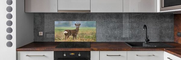 Konyhai fali panel Őz