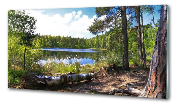 Konyhapanel Erdei panoráma