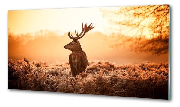 Konyhai fali panel Deer napkelte