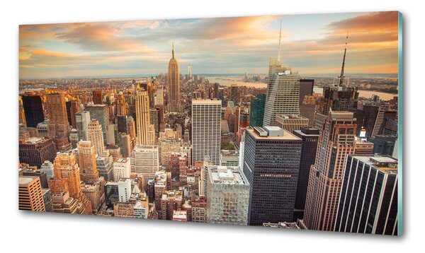 Konyhapanel New york-i járat madár