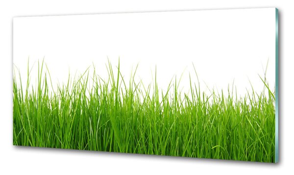 Konyhai falburkoló panel Fű