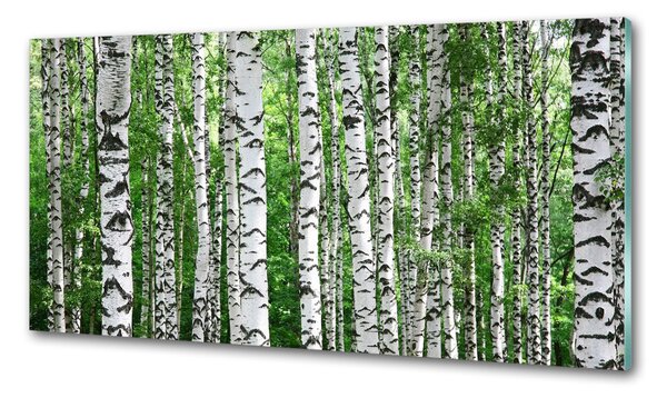 Konyhai falburkoló panel Nyírfák