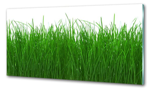 Konyhai falburkoló panel Fű