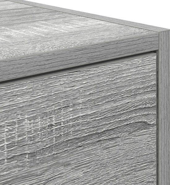 TV Szekrény Szürke Sonoma 100x31x25,5 cm Szerelt Fa