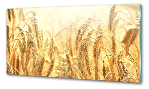Konyhai falburkoló panel Gabona
