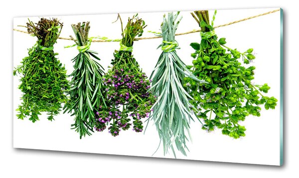Konyhai dekorpanel Herbs egy húr