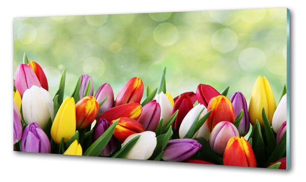 Konyhai falburkoló panel Színes tulipán