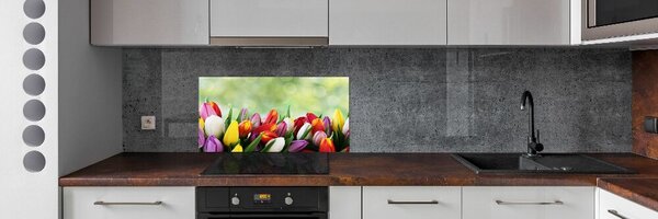 Konyhai falburkoló panel Színes tulipán