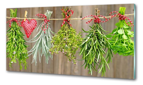 Konyhai dekorpanel Herbs egy húr