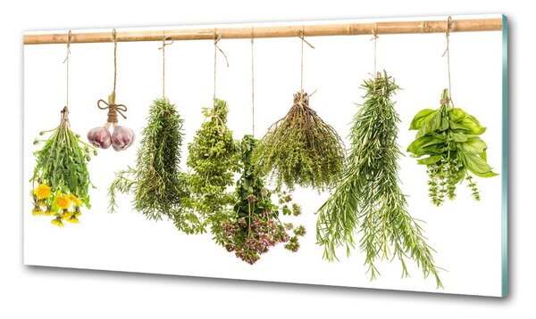 Konyhai dekorpanel Herbs egy húr