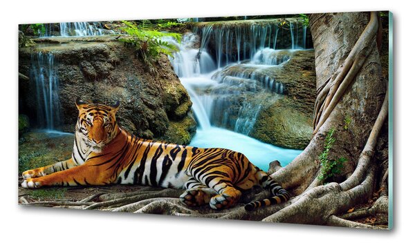 Konyhai fali panel Tigris vízesés