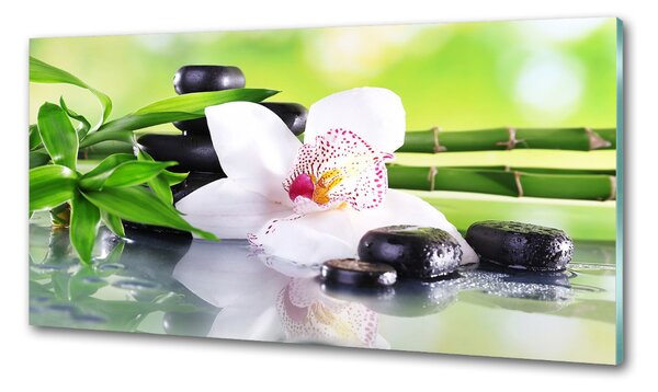 Konyhai falburkoló panel Orchidea