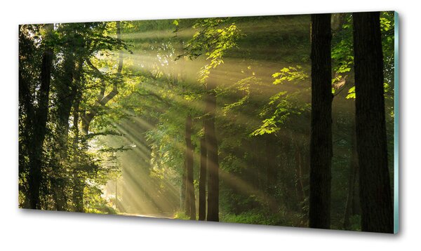 Konyhapanel Forest a nap