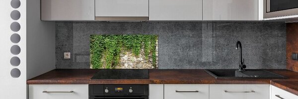 Konyhai falburkoló panel Zöld borostyán