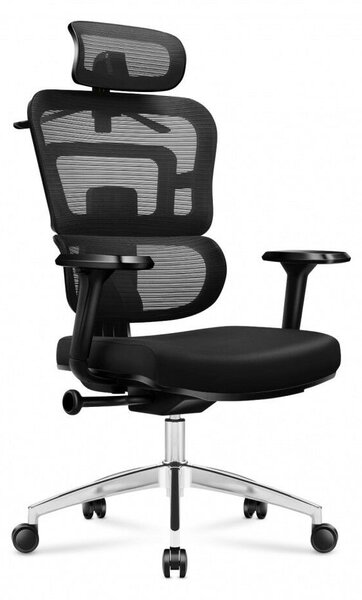 Expert 4.9 Ergonomikus ortopéd kényelmes irodai forgószék , deréktámasz fekete