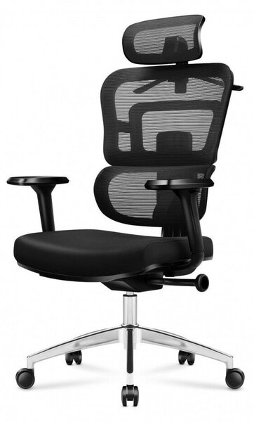 Expert 4.9 Ergonomikus ortopéd kényelmes irodai forgószék , deréktámasz fekete