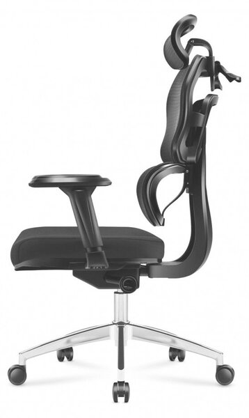 Expert 4.9 Ergonomikus ortopéd kényelmes irodai forgószék , deréktámasz fekete
