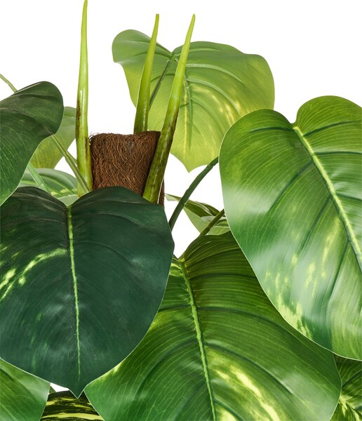 Műnövény DIEFFENBACHIA 152 cm Zöld