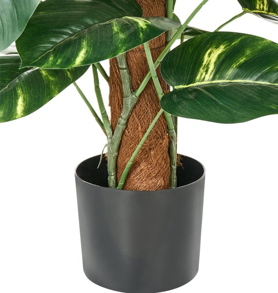 Műnövény DIEFFENBACHIA 152 cm Zöld