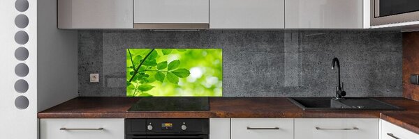 Konyhai falburkoló panel Zöld levelek